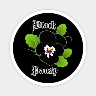 Black pansy – Gothic flower Magnet